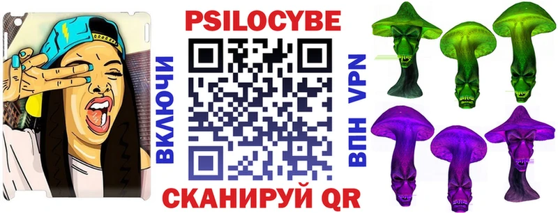 Псилоцибиновые грибы Psilocybe  Дигора 